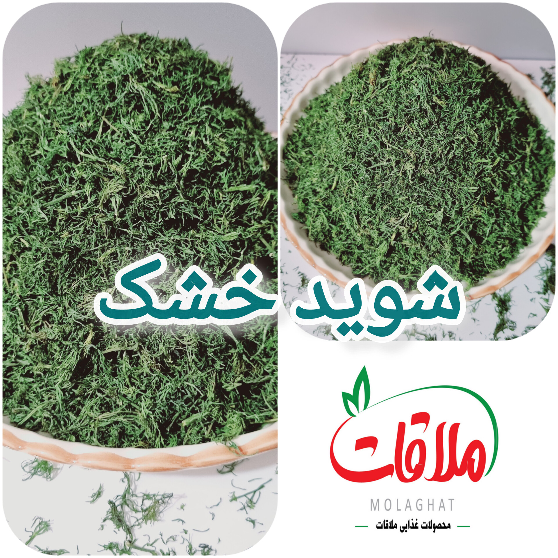 شوید خشک ( Dill )